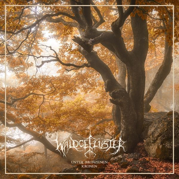 Waldgeflüster - Unter Bronzenen Kronen (Vinyl Lp) i gruppen VINYL / Hårdrock/ Heavy metal hos Bengans Skivbutik AB (4314245)