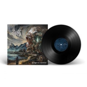 Hiems - Stranger In A Wasteland (Vinyl Lp) i gruppen VINYL / Hårdrock/ Heavy metal hos Bengans Skivbutik AB (4314247)