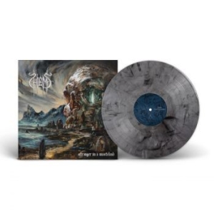Hiems - Stranger In A Wasteland (Grey Marbl i gruppen VINYL / Hårdrock/ Heavy metal hos Bengans Skivbutik AB (4314249)