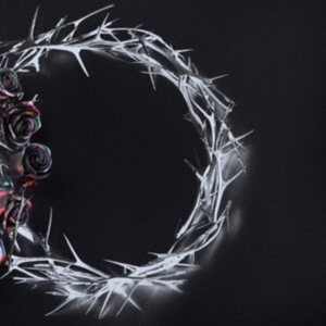 The Rose - Dual (Dusk) i gruppen CD / Pop-Rock hos Bengans Skivbutik AB (4314271)