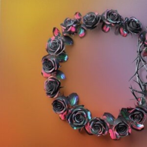 The Rose - Dual (Dawn) i gruppen CD / Pop-Rock hos Bengans Skivbutik AB (4314272)