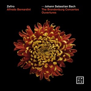 Bach Johann Sebastian - The Brandenburg Concertos - Ouvertu i gruppen Externt_Lager / Naxoslager hos Bengans Skivbutik AB (4314614)