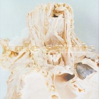 Pale Saints - In Ribbons (Black Vinyl) i gruppen VINYL / Toppsäljare hos Bengans Skivbutik AB (4315251)
