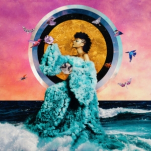 Allison Russell - The Returner i gruppen ÖVRIGT / Övrigt / aub hos Bengans Skivbutik AB (4315471)