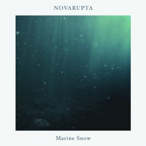 Novarupta - Marine Snow i gruppen ÖVRIGT / Övrigt / aub hos Bengans Skivbutik AB (4324160)