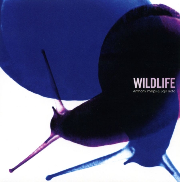 Phillips Anthony & Joji Hirota - Wildlife (Remastered And Expanded) i gruppen CD / Toppsäljare hos Bengans Skivbutik AB (4349620)