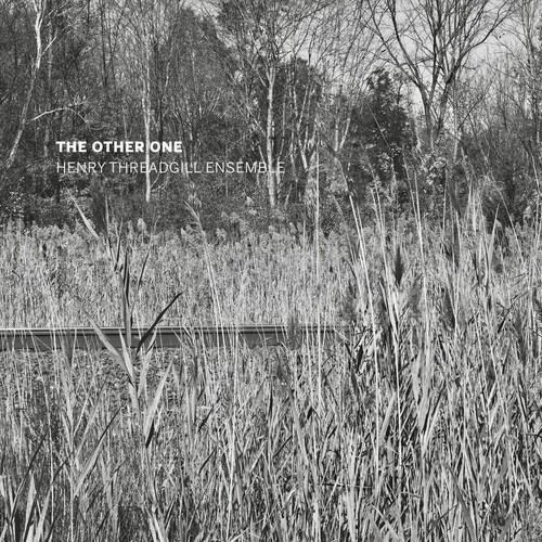 Henry Threadgill Ensemble - The other one i gruppen CD / Toppsäljare hos Bengans Skivbutik AB (4375185)