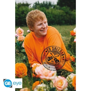 Ed Sheeran - Poster Rose Field  91,5 X 61 Cm i gruppen MERCHANDISE /  /  hos Bengans Skivbutik AB (4401456)