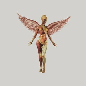 Nirvana - In Utero (Box Vinyl Super Deluxe) i gruppen ÖVRIGT / -Start Uni-LP hos Bengans Skivbutik AB (4414506)