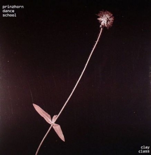 Prinzhorn Dance Scho - Clay Class - Vinyl i gruppen VI TIPSAR / Blowout / Blowout-LP hos Bengans Skivbutik AB (480719)
