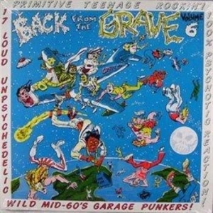 Various Artists - Vol.6 - Back From The Grave i gruppen VINYL / Pop-Rock hos Bengans Skivbutik AB (481278)