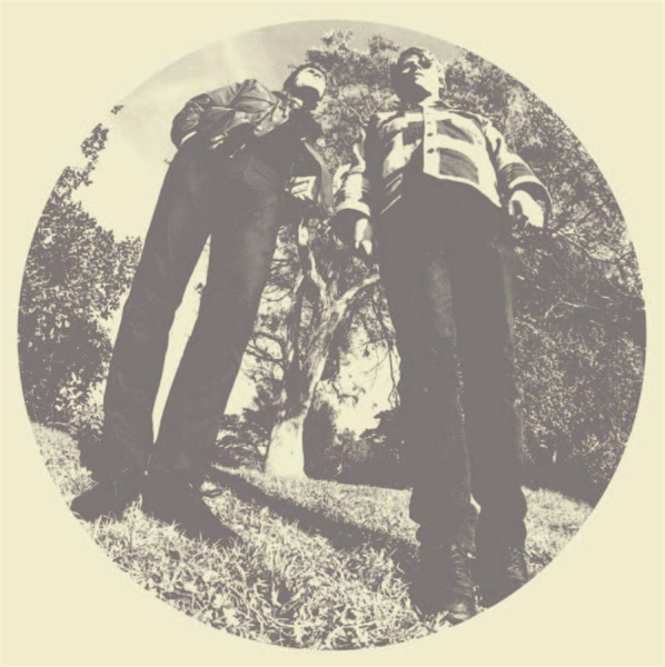 Segall Ty & White Fence - Hair i gruppen VINYL / Toppsäljare hos Bengans Skivbutik AB (482129)