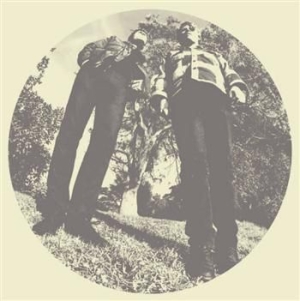 Segall Ty And White Fence - Hair i gruppen Pop-Rock hos Bengans Skivbutik AB (483428)