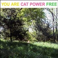Cat Power - You Are Free i gruppen VINYL / Pop-Rock hos Bengans Skivbutik AB (483696)