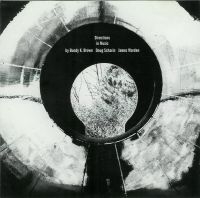 Directions - Directions In Music i gruppen VINYL / Pop hos Bengans Skivbutik AB (483744)