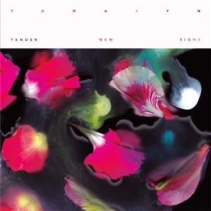 Tamaryn - Tender New Signs - Vinyl i gruppen VINYL / Pop hos Bengans Skivbutik AB (484707)