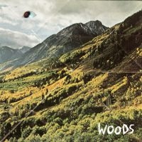 Woods - Songs Of Shame i gruppen VINYL / Pop-Rock hos Bengans Skivbutik AB (485165)