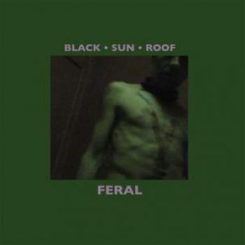 Black Sun Roof - Feral (Lp+Cd) i gruppen VINYL / Toppsäljare hos Bengans Skivbutik AB (485852)