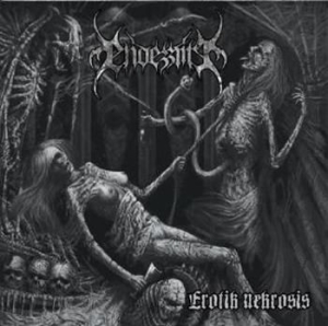 Endezzma - Erotik Nekrosis i gruppen VINYL / Hårdrock/ Heavy metal hos Bengans Skivbutik AB (486380)
