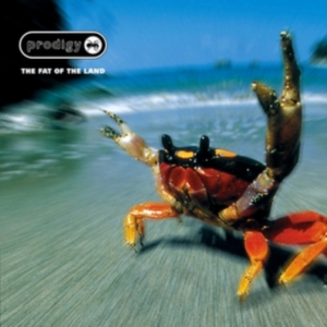 The Prodigy - Fat Of The Land (Reissue) i gruppen VI TIPSAR / Bengans Personal Tipsar / Erika Tipsar hos Bengans Skivbutik AB (486860)
