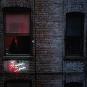 Vietnam - An American Dream i gruppen VINYL / Pop-Rock hos Bengans Skivbutik AB (486891)