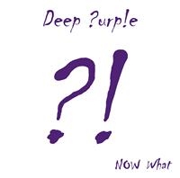 DEEP PURPLE - NOW WHAT?! i gruppen VINYL / Toppsäljare hos Bengans Skivbutik AB (487031)