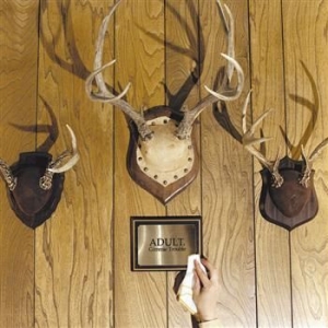 Adult - Gimmie Trouble i gruppen VINYL / Pop-Rock hos Bengans Skivbutik AB (488545)