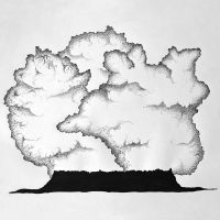 School Of Language - Sea From Shore i gruppen VINYL / Rock hos Bengans Skivbutik AB (488549)