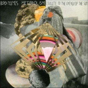 Bird Names - Metabolism: A Salute To The Energy i gruppen VINYL / Pop-Rock hos Bengans Skivbutik AB (489191)