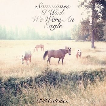 Callahan Bill - Sometimes I Wish We Were An Eagle i gruppen VINYL / Toppsäljare hos Bengans Skivbutik AB (493161)