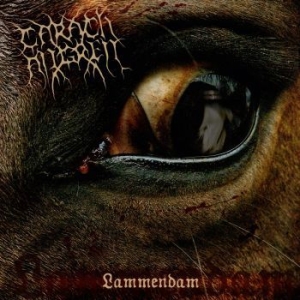 Carach Angren - Lammendam (2 Vinyl Lp) i gruppen VINYL / Hårdrock/ Heavy metal hos Bengans Skivbutik AB (494016)