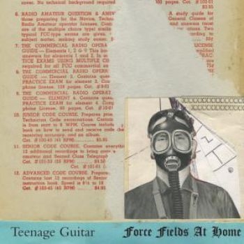 Teenage Guitar - Force Fields At Home i gruppen VINYL / Toppsäljare hos Bengans Skivbutik AB (496477)