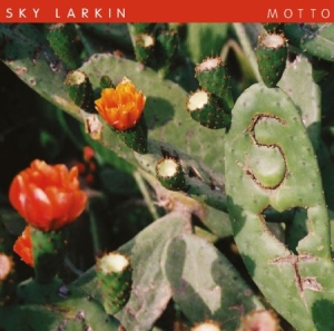Sky Larkin - Motto i gruppen VINYL / Pop-Rock hos Bengans Skivbutik AB (499710)