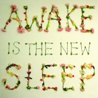 Lee Ben - Awake Is The New Sleep i gruppen CD / Pop-Rock hos Bengans Skivbutik AB (502384)