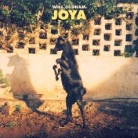 Bonnie 'Prince' Billy - Joya i gruppen CD / Pop-Rock hos Bengans Skivbutik AB (502965)