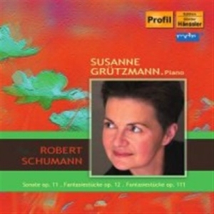 Schumann - Piano Works i gruppen CD hos Bengans Skivbutik AB (509867)