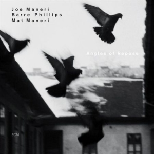 Maneri Joe - Angles Of Repose i gruppen CD / Jazz/Blues hos Bengans Skivbutik AB (511963)