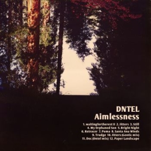 Dntel - Aimlessness i gruppen CD / Pop hos Bengans Skivbutik AB (512825)