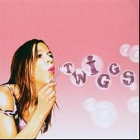 Twiggs - Twiggs i gruppen CD / Pop-Rock,Svensk Folkmusik hos Bengans Skivbutik AB (513175)