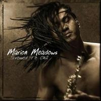 Meadows Marion - Dressed To Chill i gruppen CD / Jazz/Blues hos Bengans Skivbutik AB (513414)