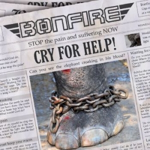 Bonfire - Cry For Help i gruppen CD / Hårdrock/ Heavy metal hos Bengans Skivbutik AB (518383)