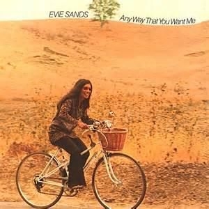 Sands Evie - Any Way That You Want Me i gruppen VI TIPSAR / Blowout / Blowout-CD hos Bengans Skivbutik AB (525530)