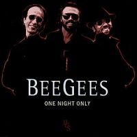 Bee Gees - One Night Only i gruppen CD / Pop-Rock hos Bengans Skivbutik AB (525580)