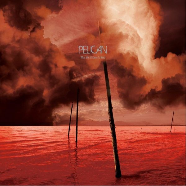 Pelican - What We All Come To Need i gruppen CD / Hårdrock/ Heavy metal hos Bengans Skivbutik AB (529894)
