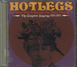 Hotlegs - You Didn't Like It Because You Didn i gruppen CD / Pop-Rock hos Bengans Skivbutik AB (531254)