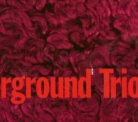 Chicago Underground Trio - Slon i gruppen CD / Pop-Rock hos Bengans Skivbutik AB (532560)