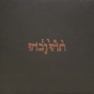 Godspeed You Black Emperor - Slow Riot For New Zero Kanada i gruppen Minishops /  Godspeed You hos Bengans Skivbutik AB (533809)