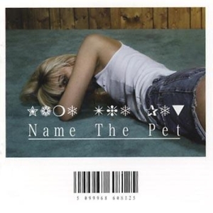 Name The Pet - Name The Pet i gruppen CD / Pop hos Bengans Skivbutik AB (535070)