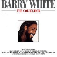 Barry White - The Collection i gruppen ÖVRIGT / KalasCDx hos Bengans Skivbutik AB (535204)