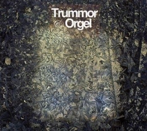 Trummor & Orgel - Visions i gruppen Minishops / Trummor Orgel hos Bengans Skivbutik AB (539183)